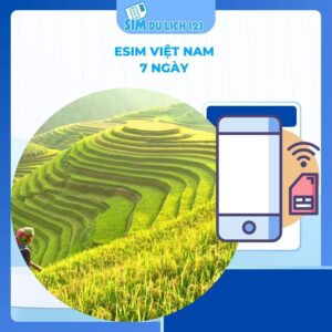 eSIM Việt Nam 7 ngày 15GB data